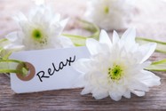 Fotolia_61673392_XS.jpg